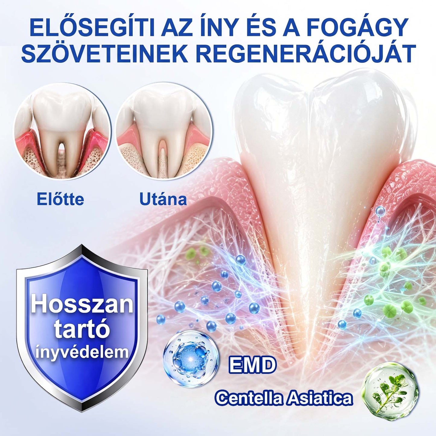 Evolvion® 🦷 GumRevive Ínyregeneráló Gél – Az egészségesebb ínyért és magabiztosabb mosolyért 🥰