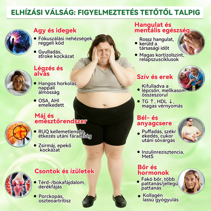 🔥Hivatalos bolt  |  👩‍⚕️𝑳𝒖𝒙𝒂𝒓𝒊𝒔𝒆® MORINGA X BERBERIN 10-IN-1 Haladó Nano Mikrotük Tapasz(Egy naponta, látható változások 7 nap alatt) ✅  Tartalmazza az elhízást, a cukorbetegséget, az alvási apnoét, az ízületi problémákat és egyebeket🐊