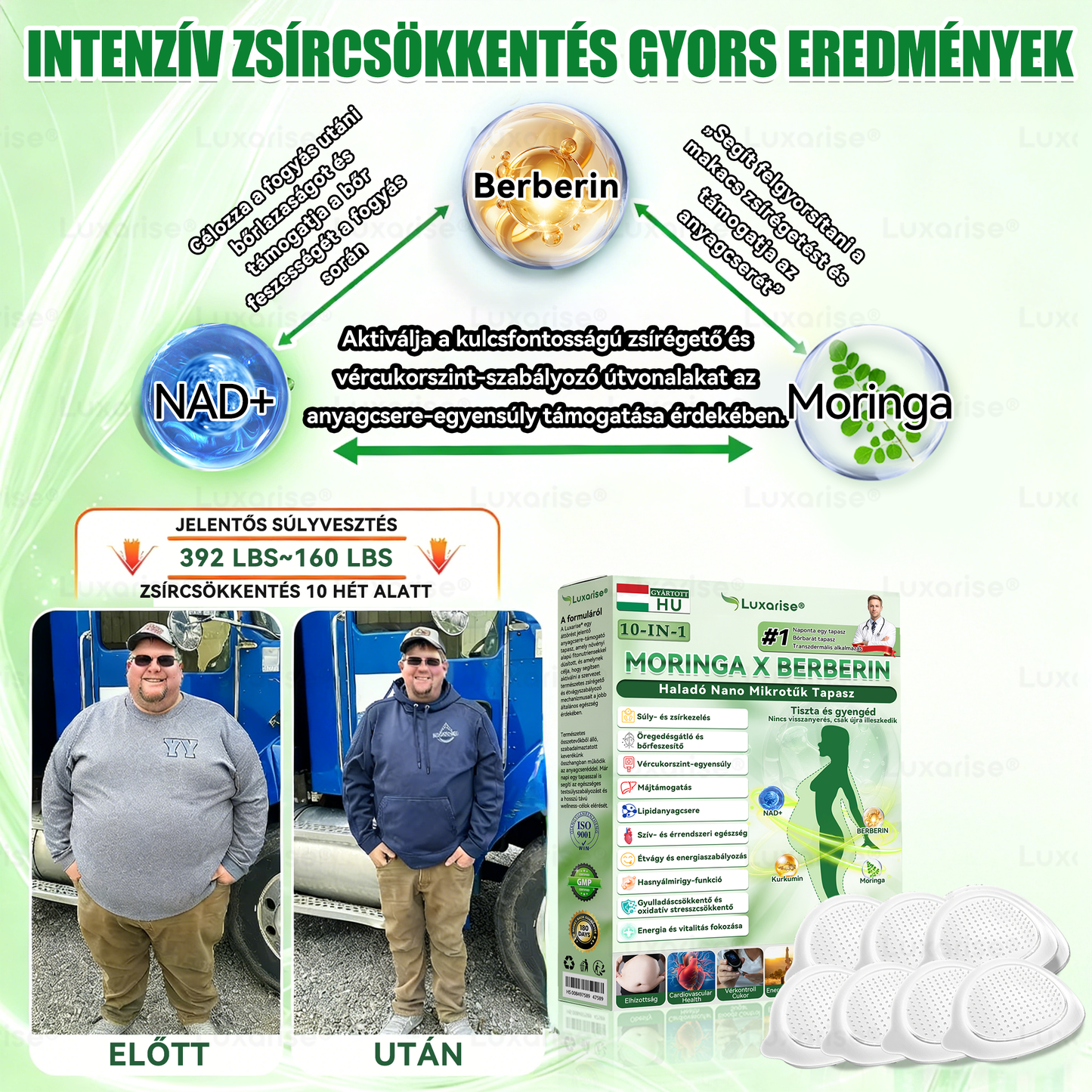 🔥Hivatalos bolt  |  👩‍⚕️𝑳𝒖𝒙𝒂𝒓𝒊𝒔𝒆® MORINGA X BERBERIN 10-IN-1 Haladó Nano Mikrotük Tapasz(Egy naponta, látható változások 7 nap alatt) ✅  Tartalmazza az elhízást, a cukorbetegséget, az alvási apnoét, az ízületi problémákat és egyebeket📦