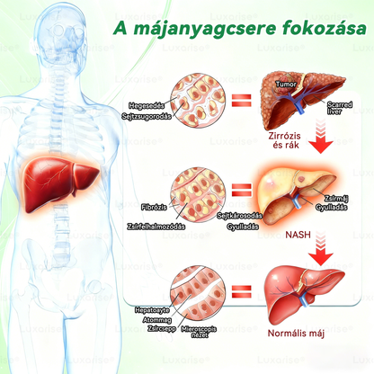 🔥Hivatalos bolt  |  👩‍⚕️𝑳𝒖𝒙𝒂𝒓𝒊𝒔𝒆® MORINGA X BERBERIN 10-IN-1 Haladó Nano Mikrotük Tapasz(Egy naponta, látható változások 7 nap alatt) ✅  Tartalmazza az elhízást, a cukorbetegséget, az alvási apnoét, az ízületi problémákat és egyebeket📦